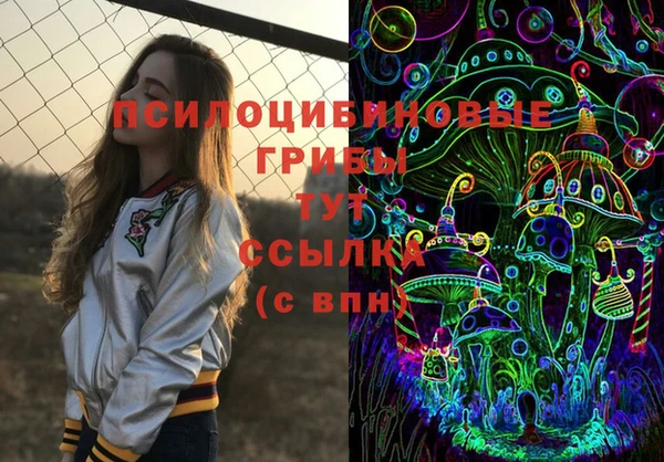 хмурый Липки