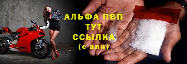 хмурый Липки