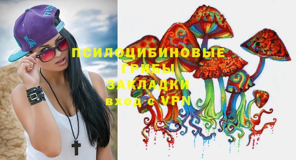 хмурый Липки
