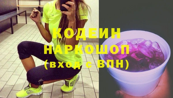 хмурый Липки