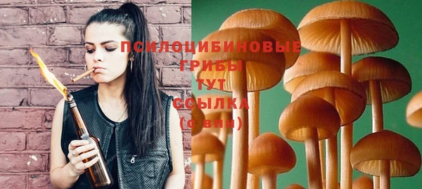 метадон Лагань