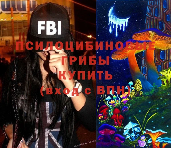 хмурый Липки