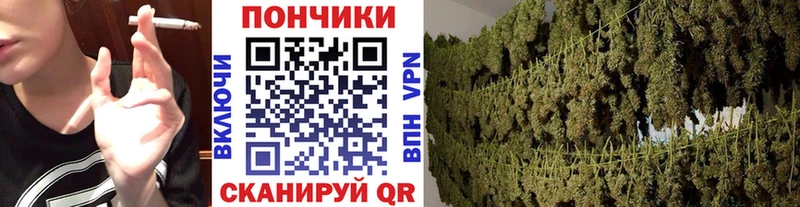 Каннабис OG Kush  Ядрин 